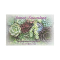 Sweet Succulent